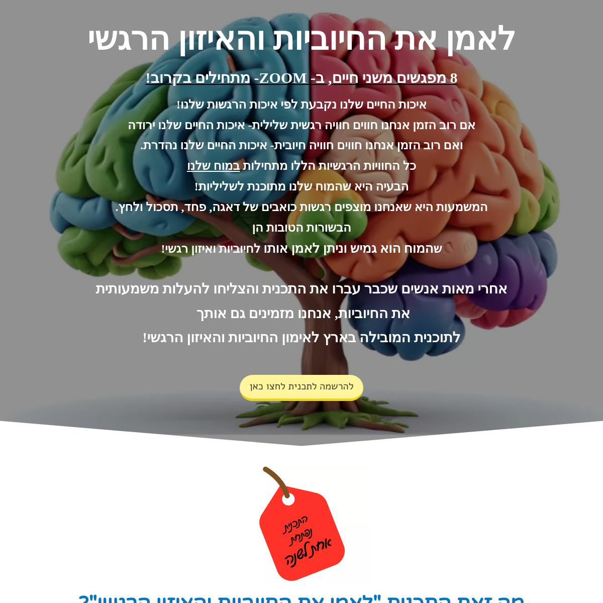 להזין את הלב- לאמן את המוח החיובי