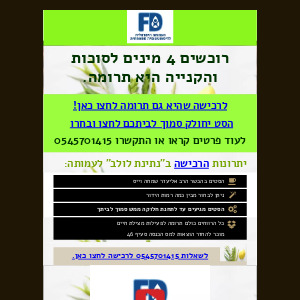 נתינת לולב - רוכשים 4 מינים וגם תורמים במחיר עלות